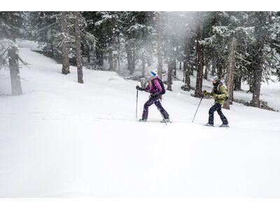 K2 Wayback 88 - Bild 11