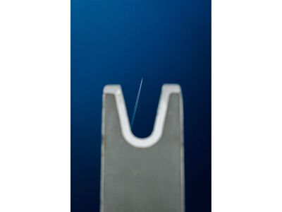 Line Sakana - Bild 23