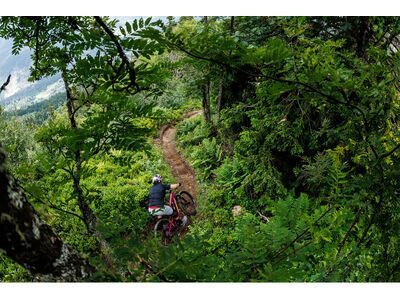 Santa Cruz Bronson CC Frameset, translucent root beer - Bild 8