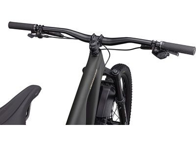 ***2. Wahl*** Specialized Stumpjumper Evo LTD dark moss green - Bild 9