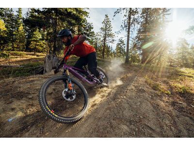 Santa Cruz Heckler SL C / GX AXS / MX, matte silver - Bild 16