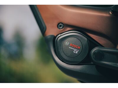 Cube Kathmandu Hybrid Pro 800 Easy Entry, sunglow´n´chrome - Bild 11