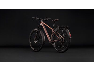 Cube Aim SLX FE 29, rustyrose´n´peach - Bild 10