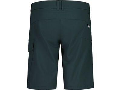 Maloja KehrwaldM., mountain pine - Bild 2