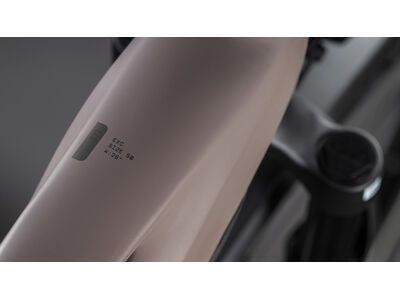 Cube Kathmandu Hybrid EXC 800 Trapeze, cedar´n´chrome - Bild 3