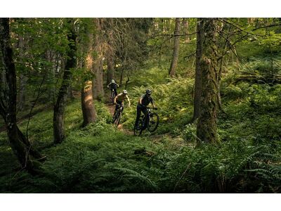 Focus Jam² 6.7 - 800, slategrey / magicblack - Bild 31