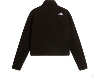 The North Face W Novelty Logo Glacier 1/4 Zip, tnf black - Bild 2