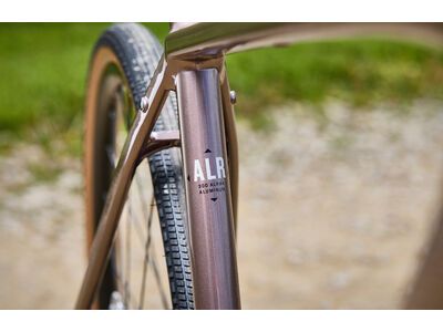 Trek Checkpoint ALR 5 Gen 3, bronze age - Bild 17