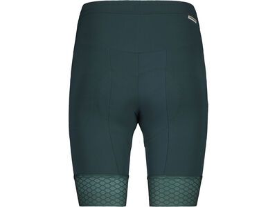 Maloja BarlaminaM., mountain pine - Bild 2