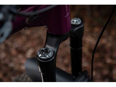 OAK Components Forkcap HSC für Fox 34, 36, 38, 40, lunargrey - Bild 2