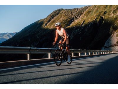 GOREWEAR Swiftride Optical Trikot Damen, tech beige/utility red - Bild 4