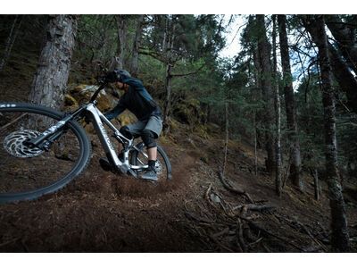 ***2. Wahl*** Amflow PL Carbon - 800 Wh satin silver - Bild 22