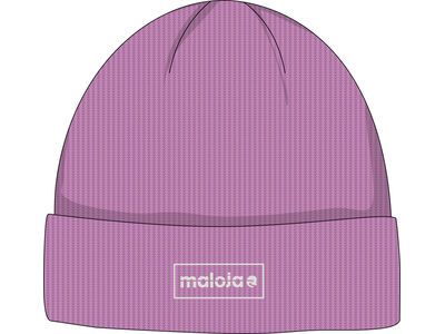Maloja GsallkopfM., winter magnolia