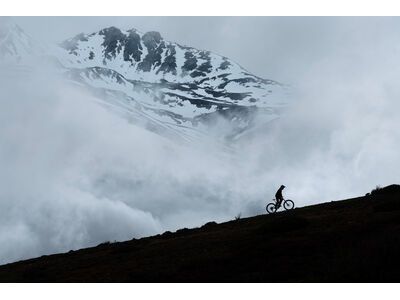 ***2. Wahl*** Amflow PL Carbon - 800 Wh satin silver - Bild 15