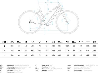 Coboc Bristol TPZ, riesling silver, matt - Bild 3
