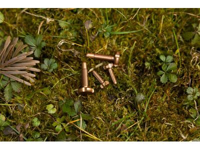 OAK Components RLP Schrauben Set (4 Stck.), copper - Bild 2