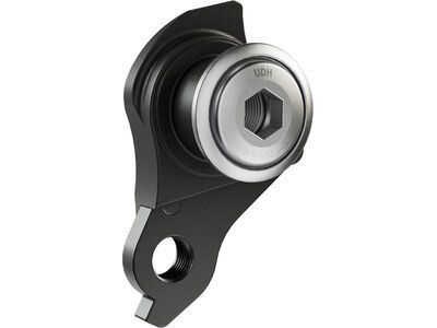 SRAM UDH / Universal Derailleur Hanger silver