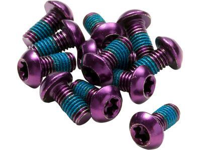 Reverse Disc Rotor Bolts, purple