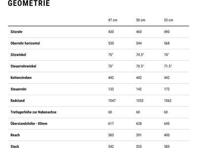 Cube Nulane Pro Trapeze, grey´n´chrome - Bild 9