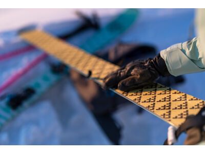 Black Crows Pilus Super Light Navis Freebird, yellow/black - Bild 2