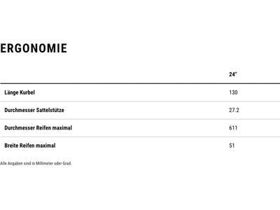 Cube Numove 240, fucsia´n´plum - Bild 8