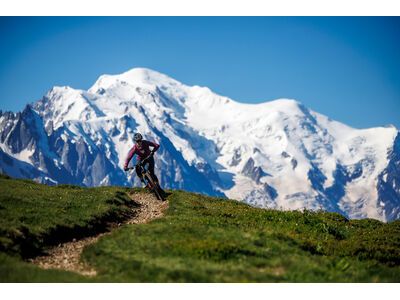 Santa Cruz Hightower C / S / 29, gloss day green - Bild 17