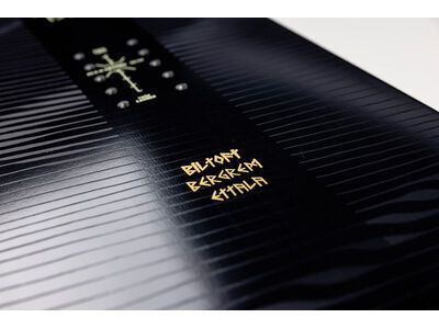 Nitro Beast - Bild 5