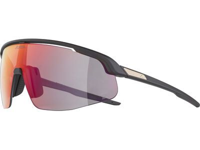 Alpina Turbo Pro QV, Rainbow Mirror / black matt - Bild 4