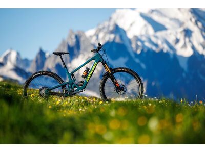 Santa Cruz Hightower C / S / 29, gloss day green - Bild 12