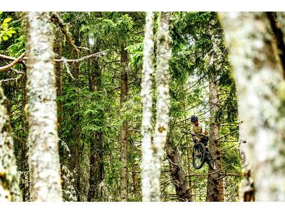 Santa Cruz Bronson CC / X0 AXS / MX, gloss kalimotxo - Bild 20