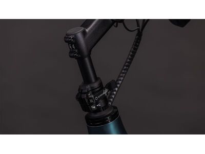 Cube Longtail Hybrid 800, royalgreen´n´black - Bild 5