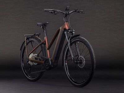 Cube Kathmandu Hybrid Pro 800 Trapeze, sunglow´n´chrome - Bild 2