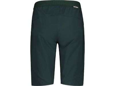 Maloja ValgrandeM., mountain pine - Bild 2