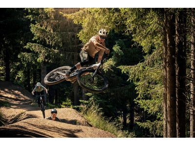 Focus Jam² 6.8 - 800, nepalsilver / steelgrey - Bild 22