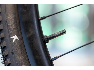 Schwalbe Clik Valve Tubeless Ventil - 40 mm - Bild 4