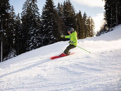 Komperdell Smash Series, blue - Bild 3