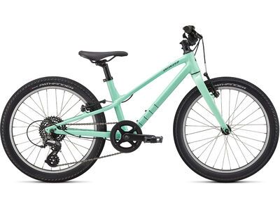 Specialized Jett 20 Multispeed oasis/forest green