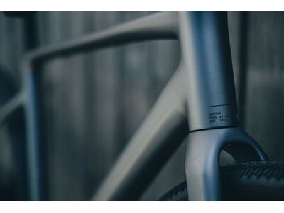 Cube Nuroad SLX, ashgrey´n´grey - Bild 11