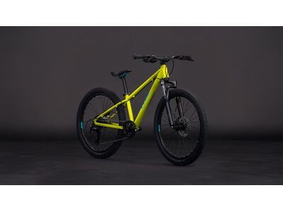 Cube Acid 240 Disc, lizard´n´blue - Bild 7