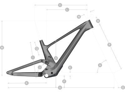 Scott Genius ST 900 Tuned, raw carbon/savannah green/black - Bild 3