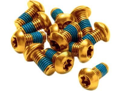 Reverse Disc Rotor Bolts, gold