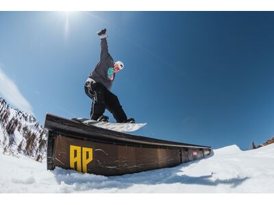 Bataleon Disaster - Bild 10