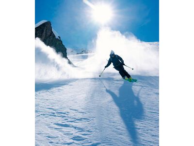 Black Crows Navis Freebird, green - Bild 8