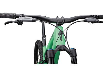 Specialized Stumpjumper 15 Expert - 29/29, electric green/forest green - Bild 5