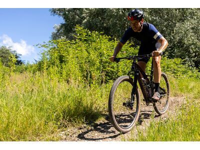 Schwalbe Rick XC Pro Evo Addix Speed TLR - 29 Zoll, transp. sidewall - Bild 13