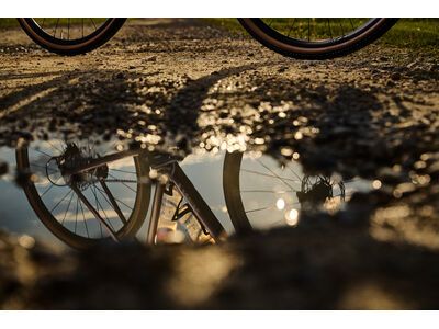 Trek Checkpoint ALR 5 Gen 3, bronze age - Bild 11