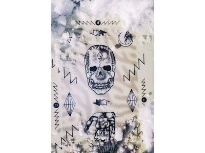 Bataleon Disaster - Bild 8