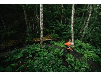 Santa Cruz Stigmata CC / Apex, british racing green - Bild 13