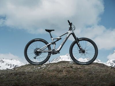 ***2. Wahl*** Amflow PL Carbon - 800 Wh satin silver - Bild 13