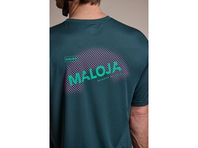 Maloja StaubachM., mountain pine - Bild 3